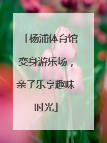 杨浦体育馆变身游乐场，亲子乐享趣味时光